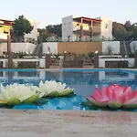 Dibek Homes & Pensiune