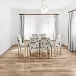 Dibek Homes & Pensiune
