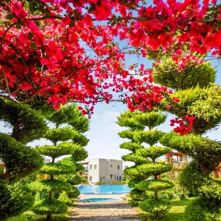 Dibek Homes & يالِكافاك