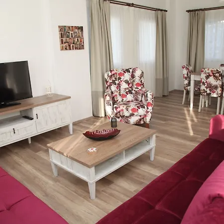 Pensiune Dibek Homes &