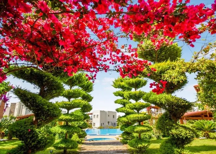 Dibek Homes & يالِكافاك