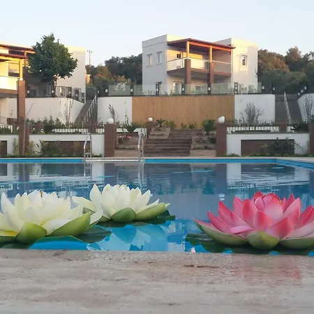 Dibek Homes & ゲストハウス