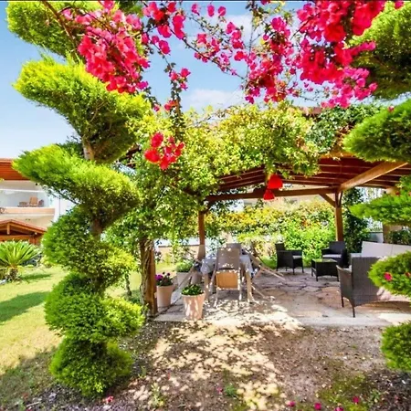 Dibek Homes & ゲストハウス Yalıkavak